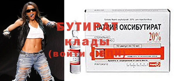 шишки Покачи