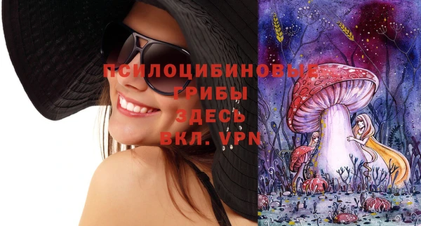амфетамин Козловка