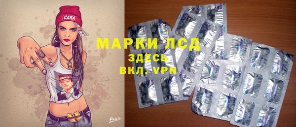 прущие грибы Козельск