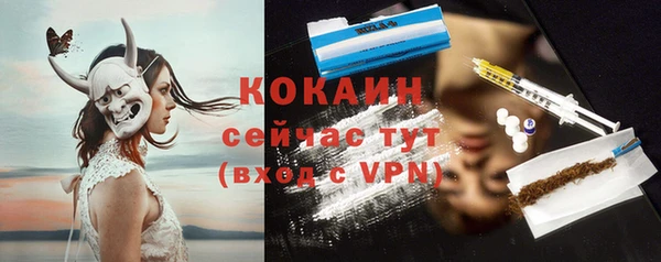 прущие грибы Козельск