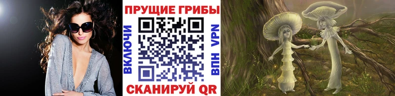 Псилоцибиновые грибы Cubensis  Яблоновский 